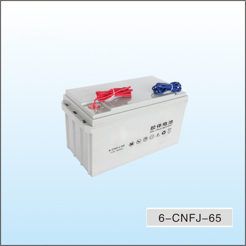 6-CNFJ-65 Dedicated for solar energy storage